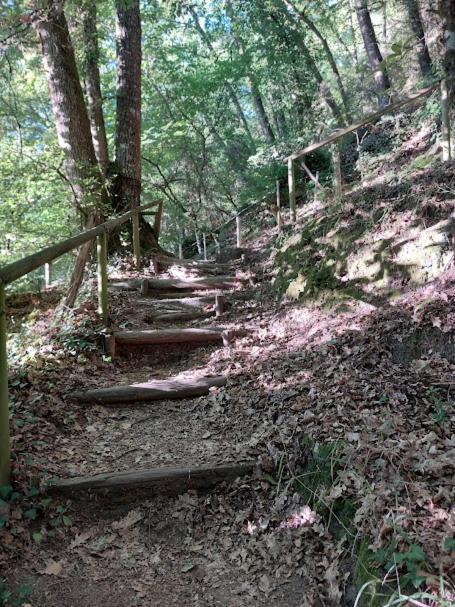 Villa O Recuncho Da Isa - Ribeira Sacra Pereiro de Aguiar Exterior foto